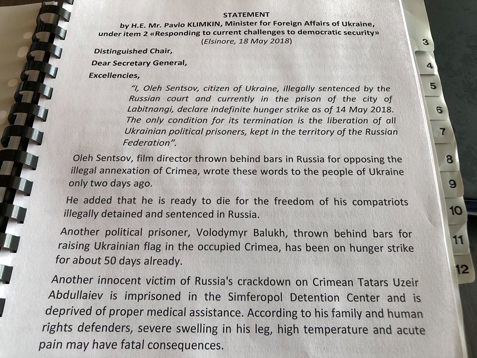 Климкин обратился к Совету Европы цитатой Сенцова: текст