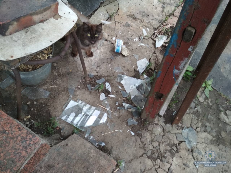 Обстреляна старая часть Авдеевки: полиция фиксирует разрушения