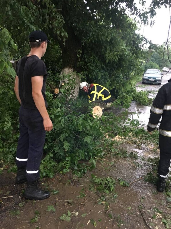 На Закарпатье град повредил 182 жилых дома: фото
