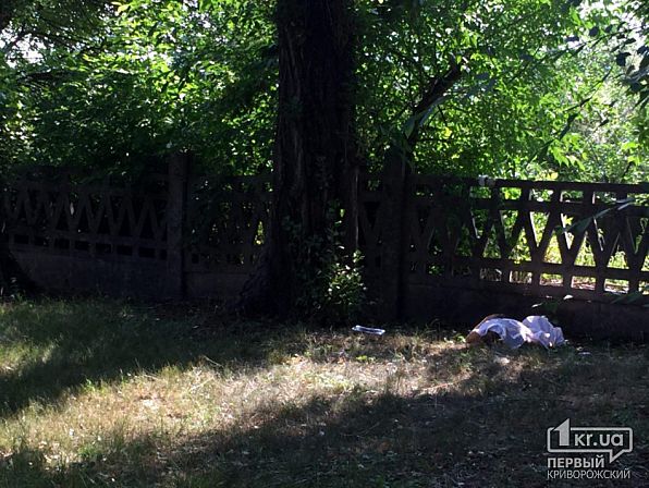 В Кривом Роге у больницы нашли тело девушки без одежды: фото