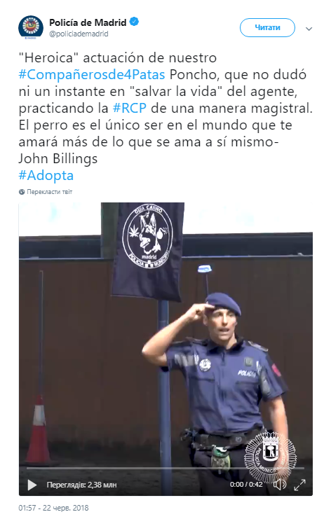 Пес-офицер полиции Мадрида научился реанимировать людей - видео