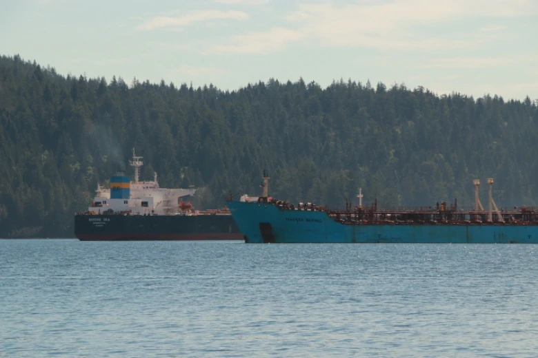 Воздушная блокада танкеров: в Канаде люди подвесили себя к мосту
