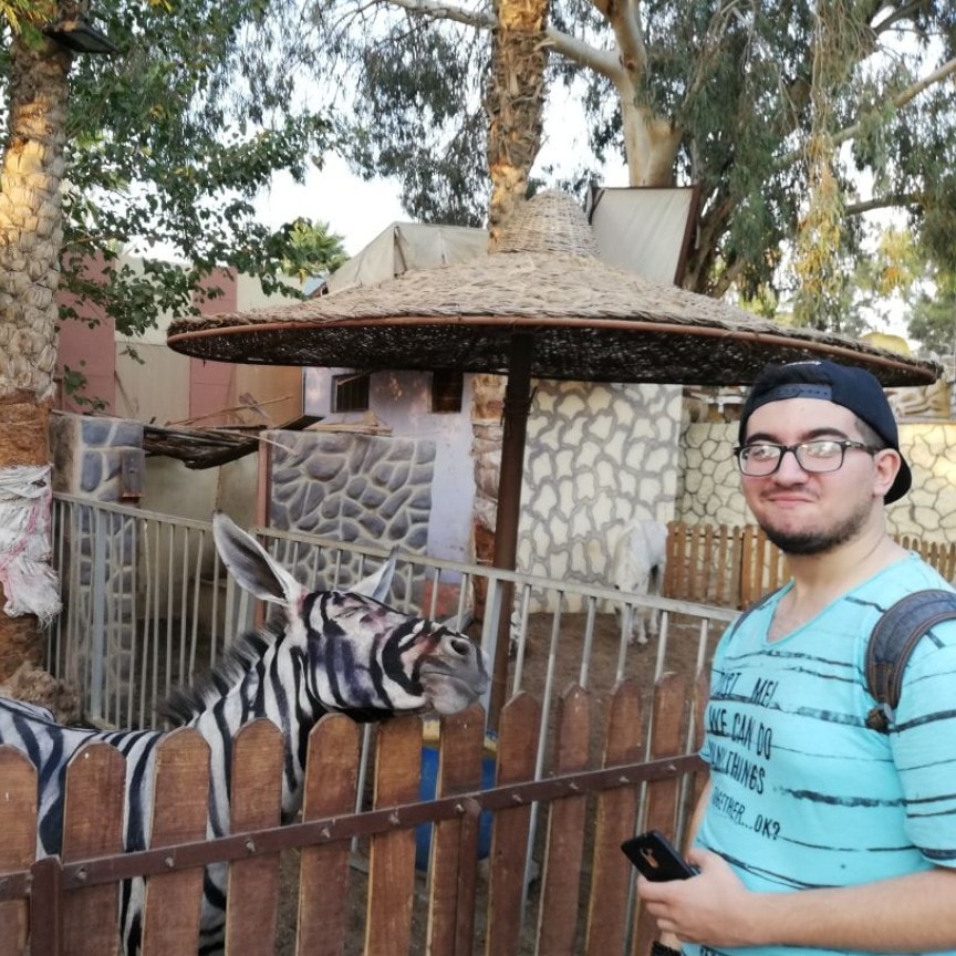 Зоопарк Каира обвинили в фальсификации зебры: фото