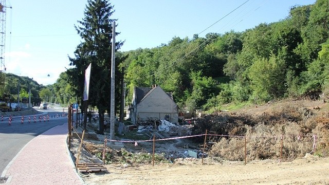 Во Львове мусорную свалку устроили прямо в парке: фото