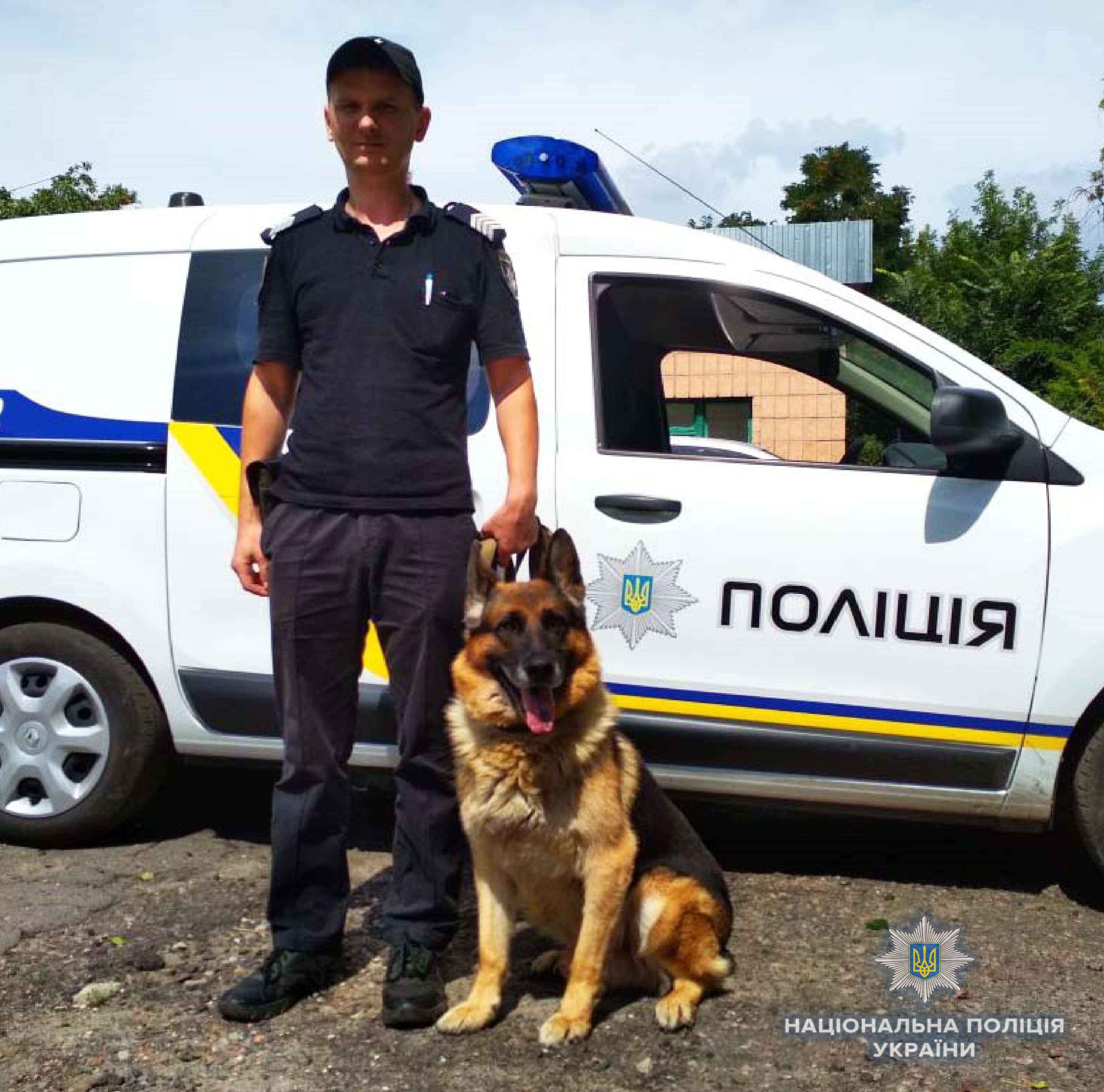 Служебный пес помог поймать поджигателя авто в Киеве: фото