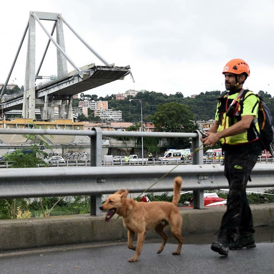 Крушение моста в Генуе: МВД Италии назвало количество погибших