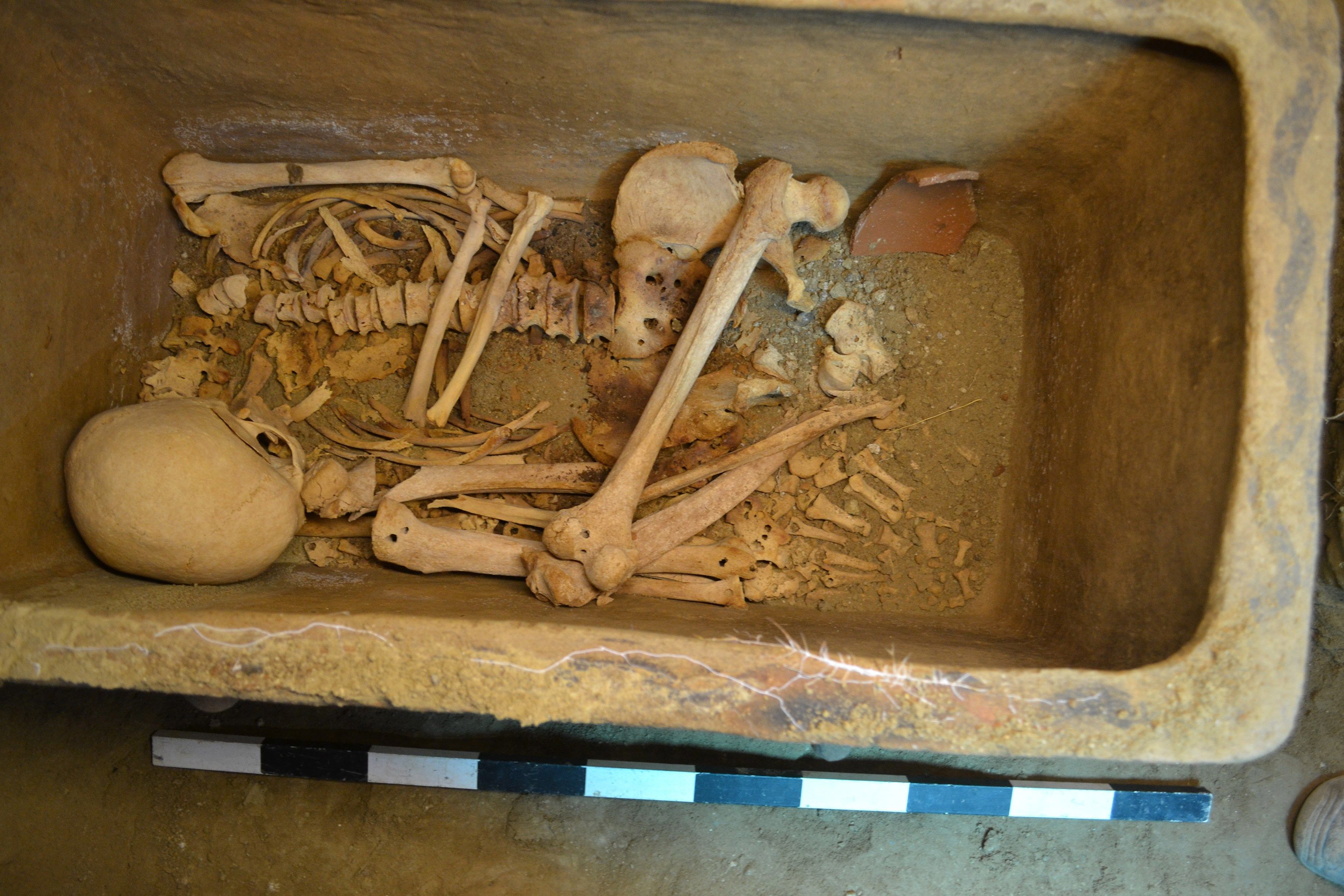 На Крите фермер случайно нашел 3400-летнее захоронение: фото