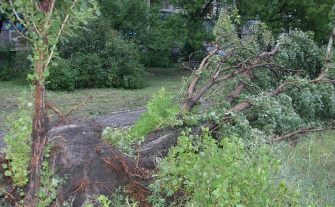 Разгул стихии в Украине: двое погибших и поваленные деревья 