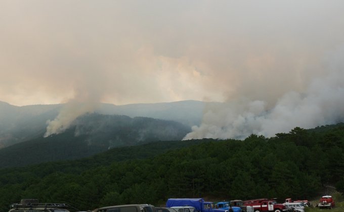 Пожар под Ялтой: горит 10 гектаров заповедного леса (фото)