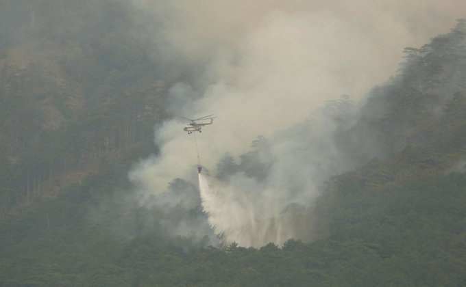 Пожар под Ялтой: горит 10 гектаров заповедного леса (фото)