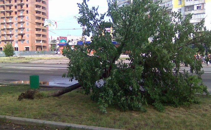 Ураган в Сумах вырвал с корнем деревья и повалил билборды: фото