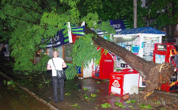 Мощный ураган в Одессе: город завален деревьями, погиб человек