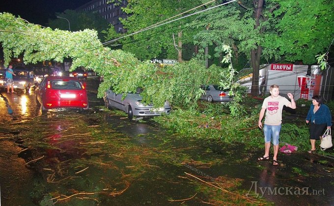 Мощный ураган в Одессе: город завален деревьями, погиб человек
