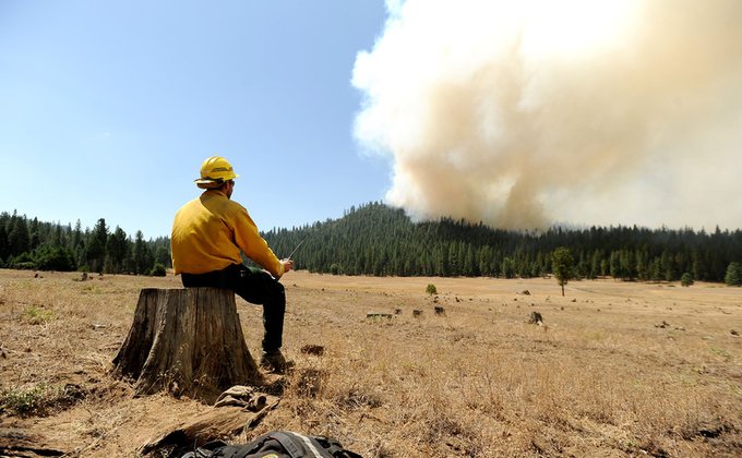 Крупный пожар в США: горят тысячи гектаров леса 