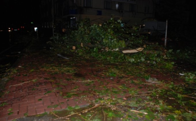 Ураган на Львовщине: повалены деревья и ЛЭП, двое пострадавших