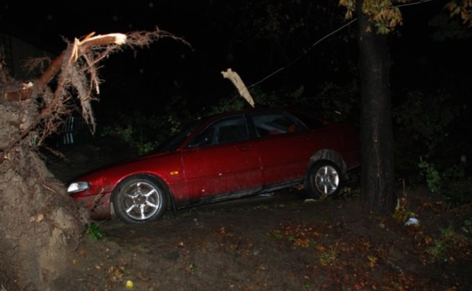 Ураган на Львовщине: повалены деревья и ЛЭП, двое пострадавших