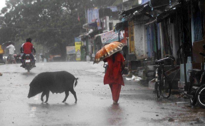 Мощный циклон в Индии: есть погибшие и разрушения 
