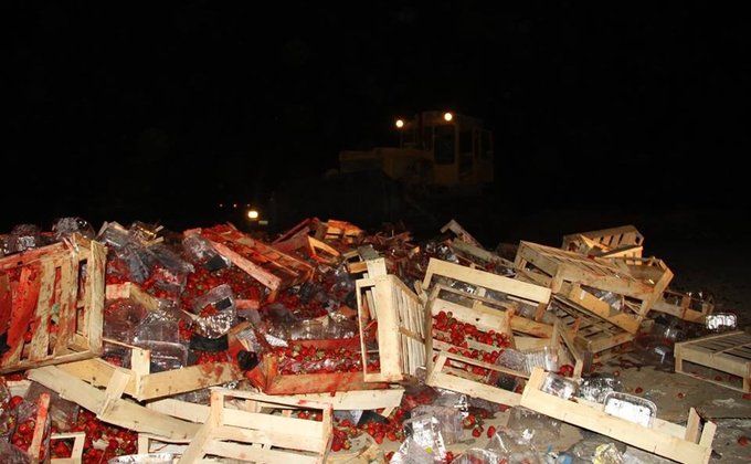 В РФ раздавили бульдозером 38 тонн украинской клубники: фото