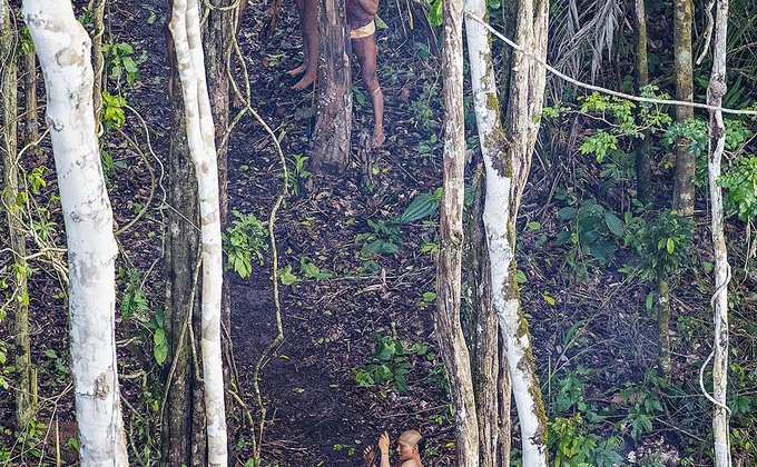 Опубликованы уникальные фото племени из бразильских тропиков
