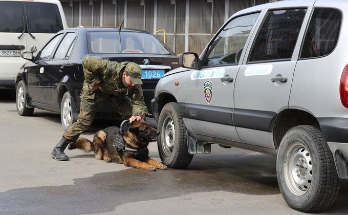 Полицейских собак протестировали перед Евровидением: фото