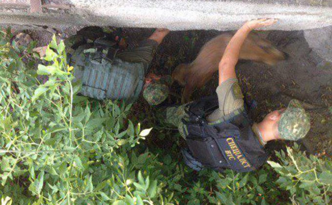 Полиция ищет взрывчатку на мосту в Краматорске: фото