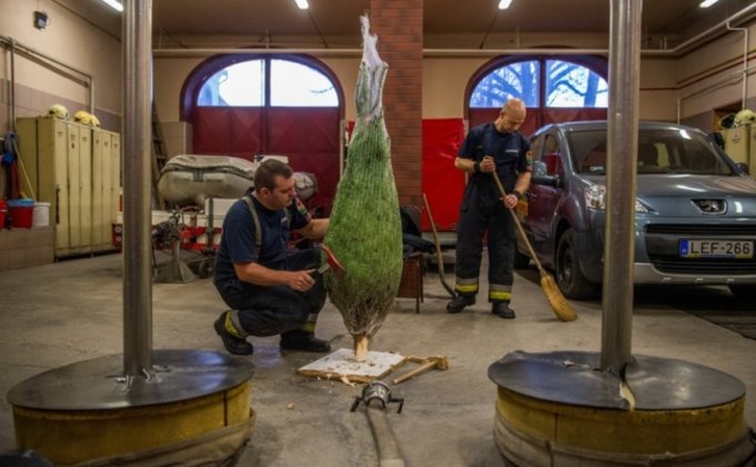 Ролики, серфинг и елка в пожарной части: мир отмечает Рождество