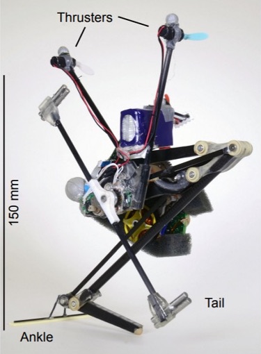 Робот-строитель, ловец дронов, робопрыгун: технохиты недели