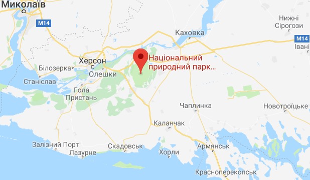 null Херсон под угрозой песчаных бурь: незаконно рубят лес у пустыни