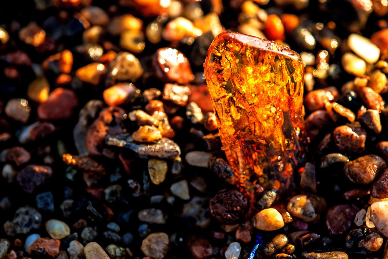 Фото - .istockphoto.com