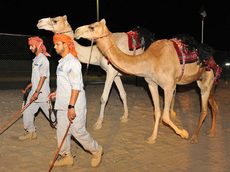 Фото: gulfnews.com