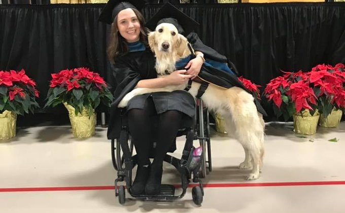 В США собака-поводырь получила диплом магистра - фото