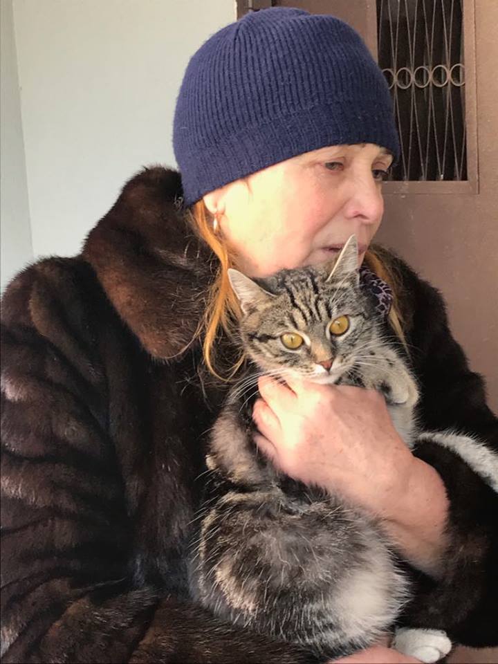 Фото: Facebook/Віка Балицька Во Львове подростки выбросили с 9 этажа кошку: фото, видео