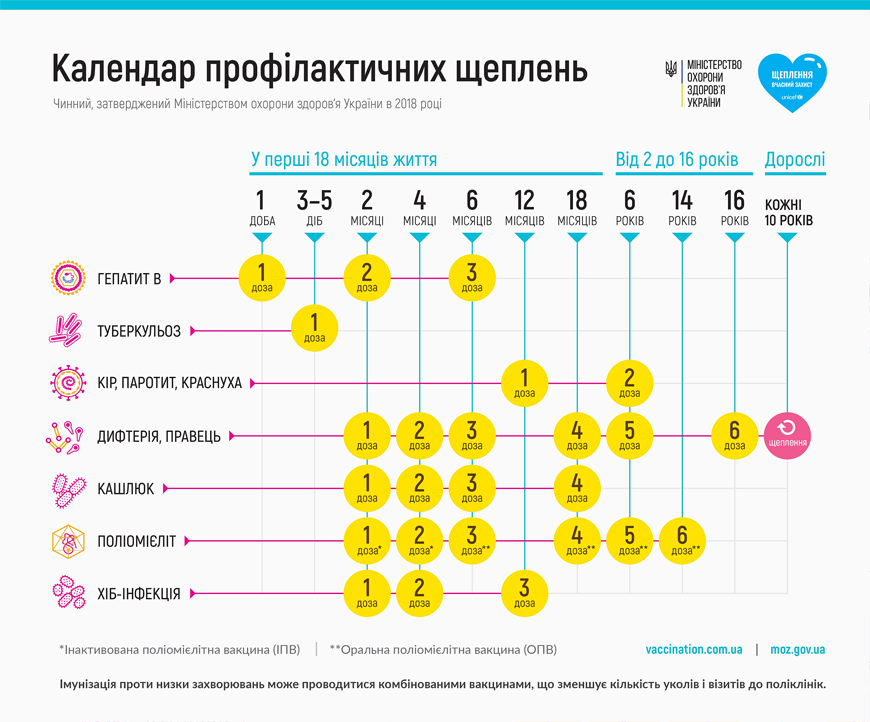 Вакцинация взрослых: против каких болезней можно делать прививки