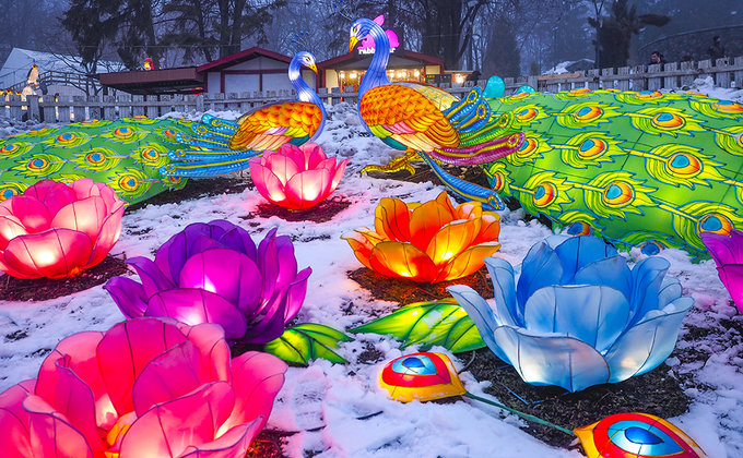 Драконы, панды и люди: Фестиваль китайских фонарей в Киеве - фото