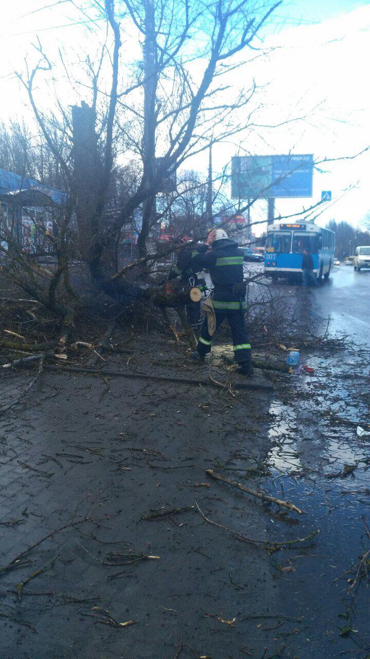 Фото: ГСЧС