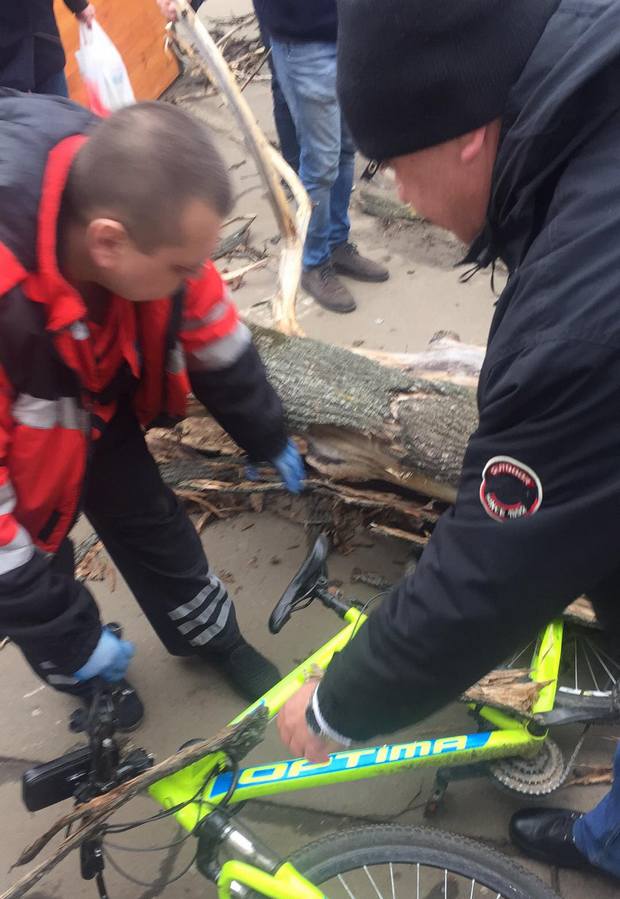 Шквальный ветер в Киеве свалил дерево на велосипедиста - фото