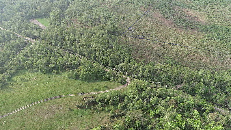 В Житомирской области смерч повалил 100 гектаров леса: видео