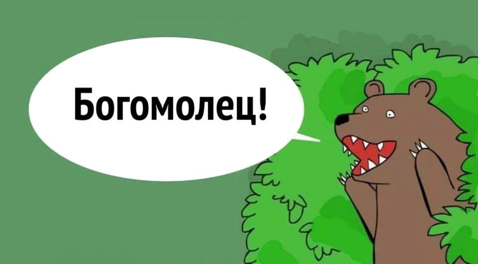 Богомолец! Богомолец!