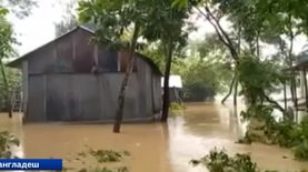 Наводнение в Бангладеше. Треть территории ушла под воду из-за дождей - видео