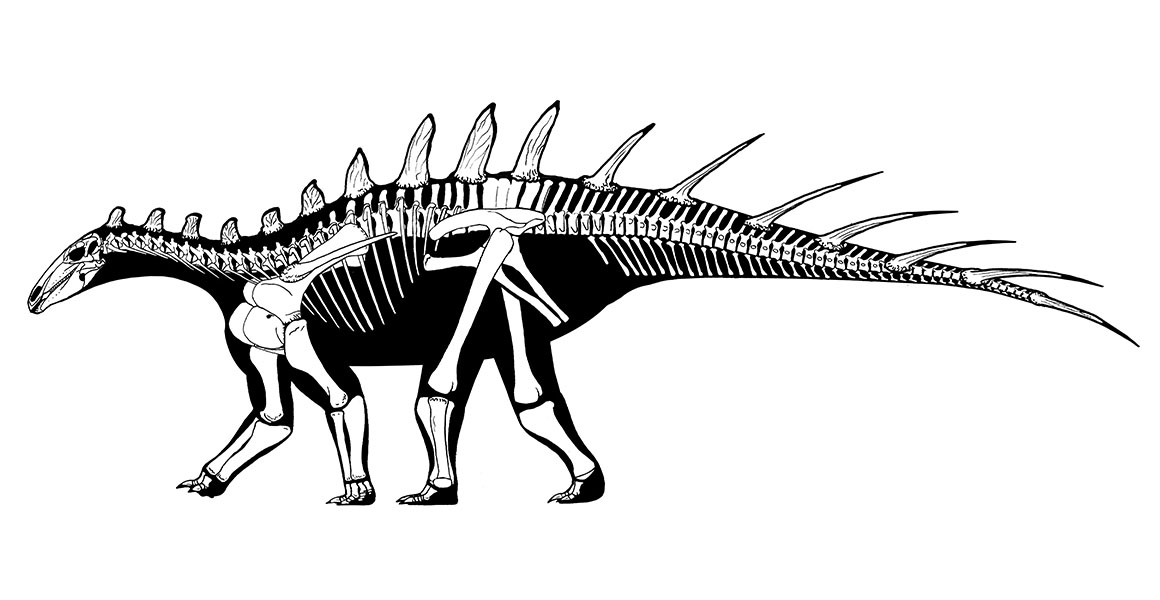 Считалось, что стегозавры были менее распространены в Африке, Южной Америке...