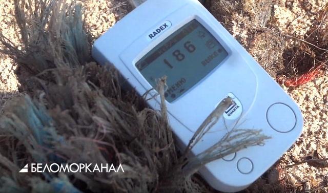 Фото: Беломорканал Радиация в РФ. Появились неофициальные замеры: видео