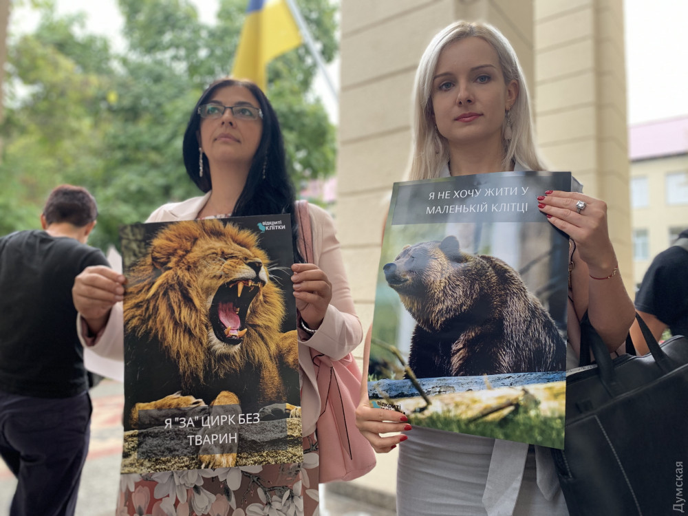 В Одессе требуют закрыть цирк: фото