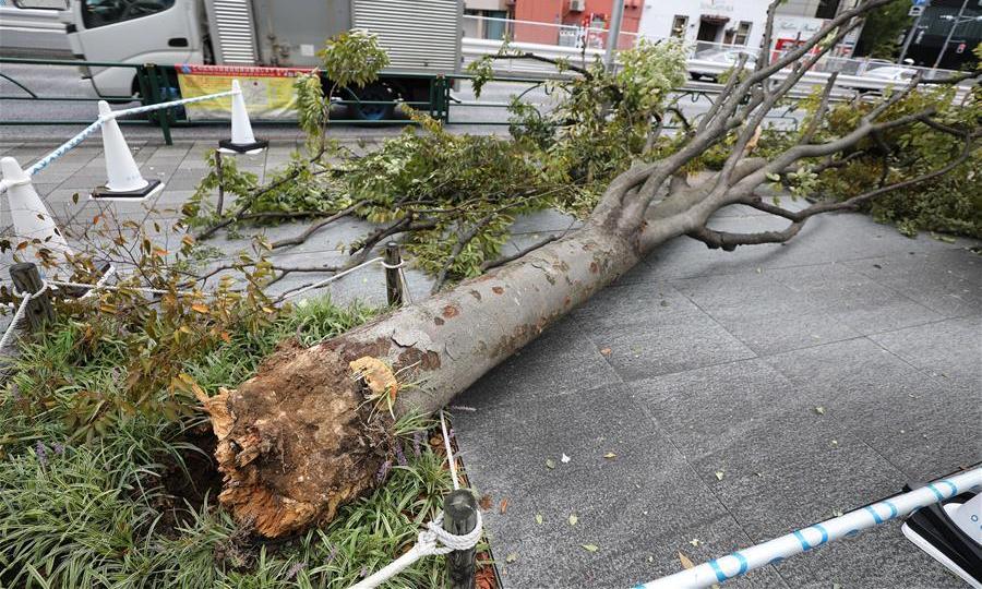 На Японию обрушился мощный тайфун: фото, видео