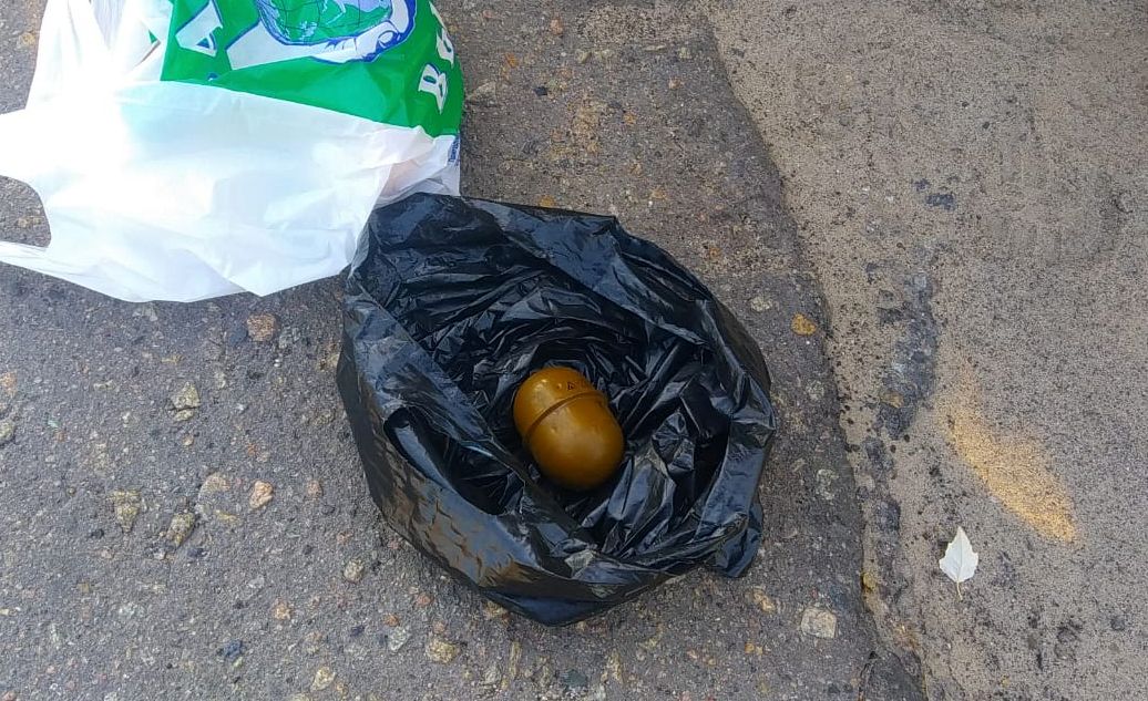 В Луганской области задержали "грибника" с гранатой - фото