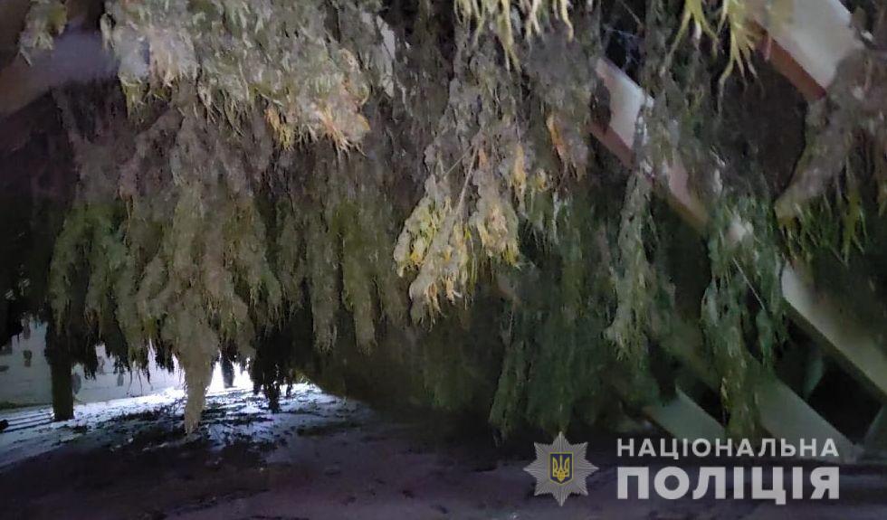 Фото - пресс-служба Нацполиции