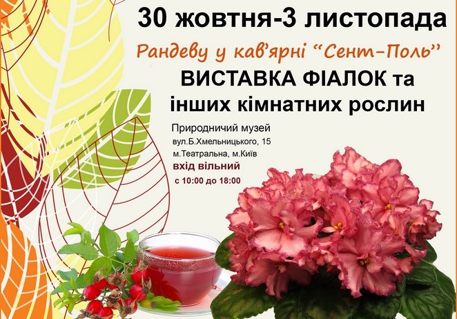 Выходные в Киеве: фестиваль жуткой еды, экзотические звери, средневековая Япония
