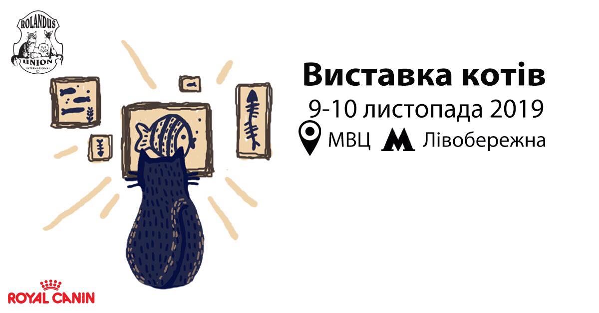 Выходные в Киеве: фестиваль блюза, иммерсивное шоу, дни корейской культуры