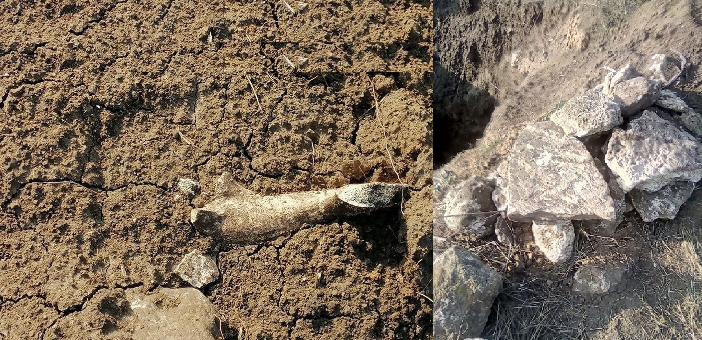 Фото: Влад Мороко/Facebook "Черные археологи". У Запорожья разграбили древний курган: фото