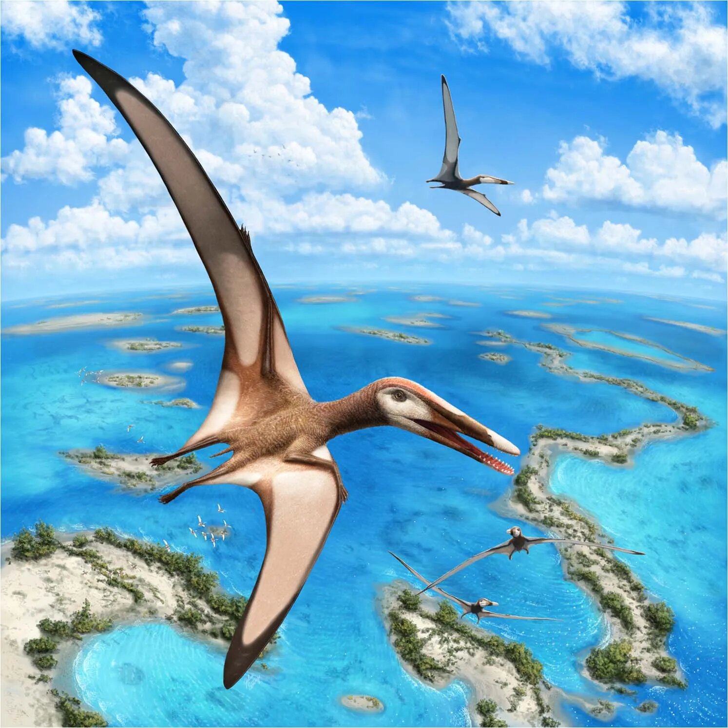 Реконструкция птерозавра Mimodactylus libanensis (Иллюстрация: Nature)