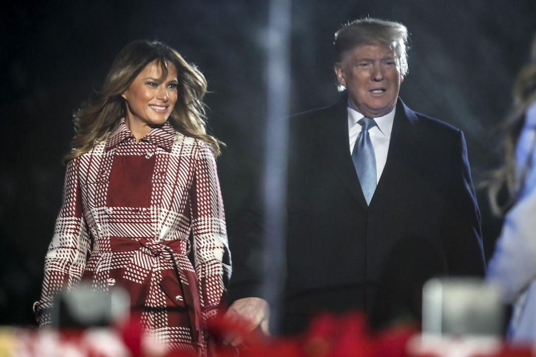 Дональд и Мелания Трамп зажгли огни на главной елке США: видео